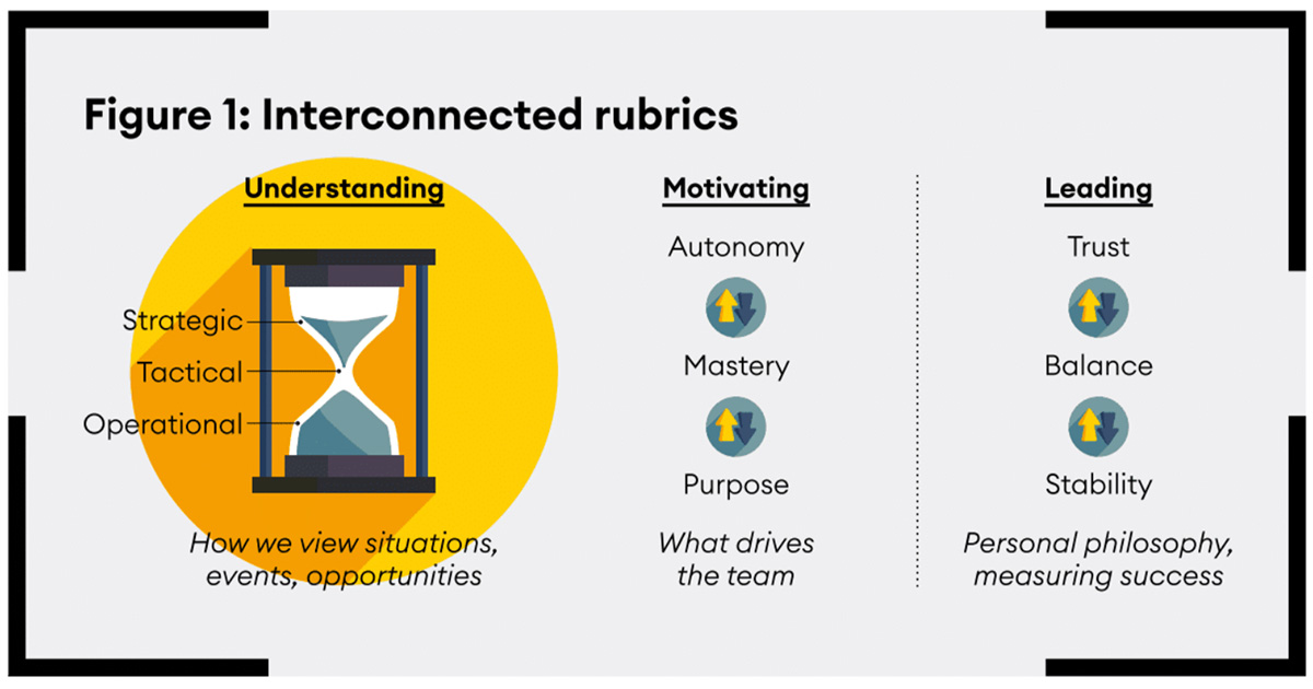 Interconnected rubrics insights