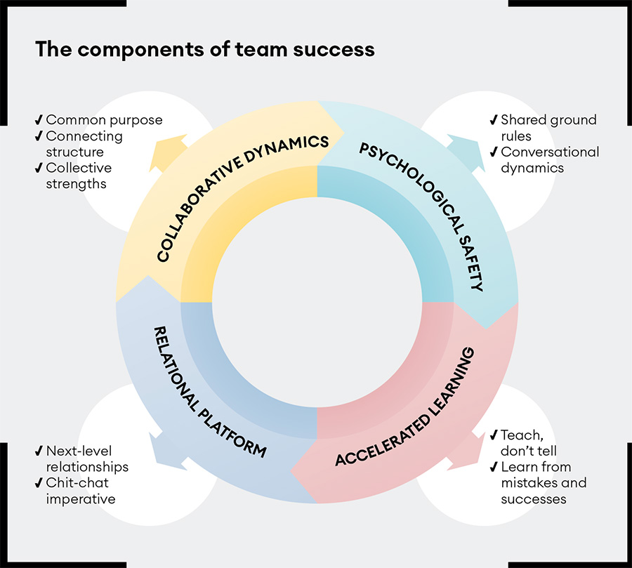 The components of team success insights