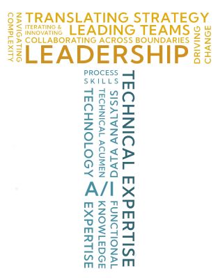 Transformational Technical Leadership