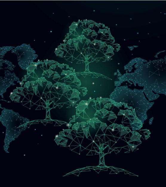 The networked ecosystem